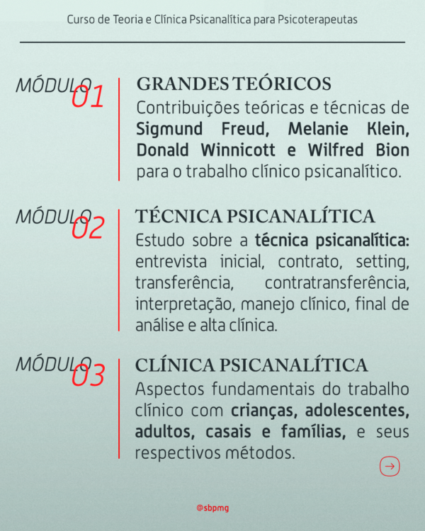 2025 - Curso de Teoria e Clínica Psicanalítica para Psicoterapeutas - Image 5